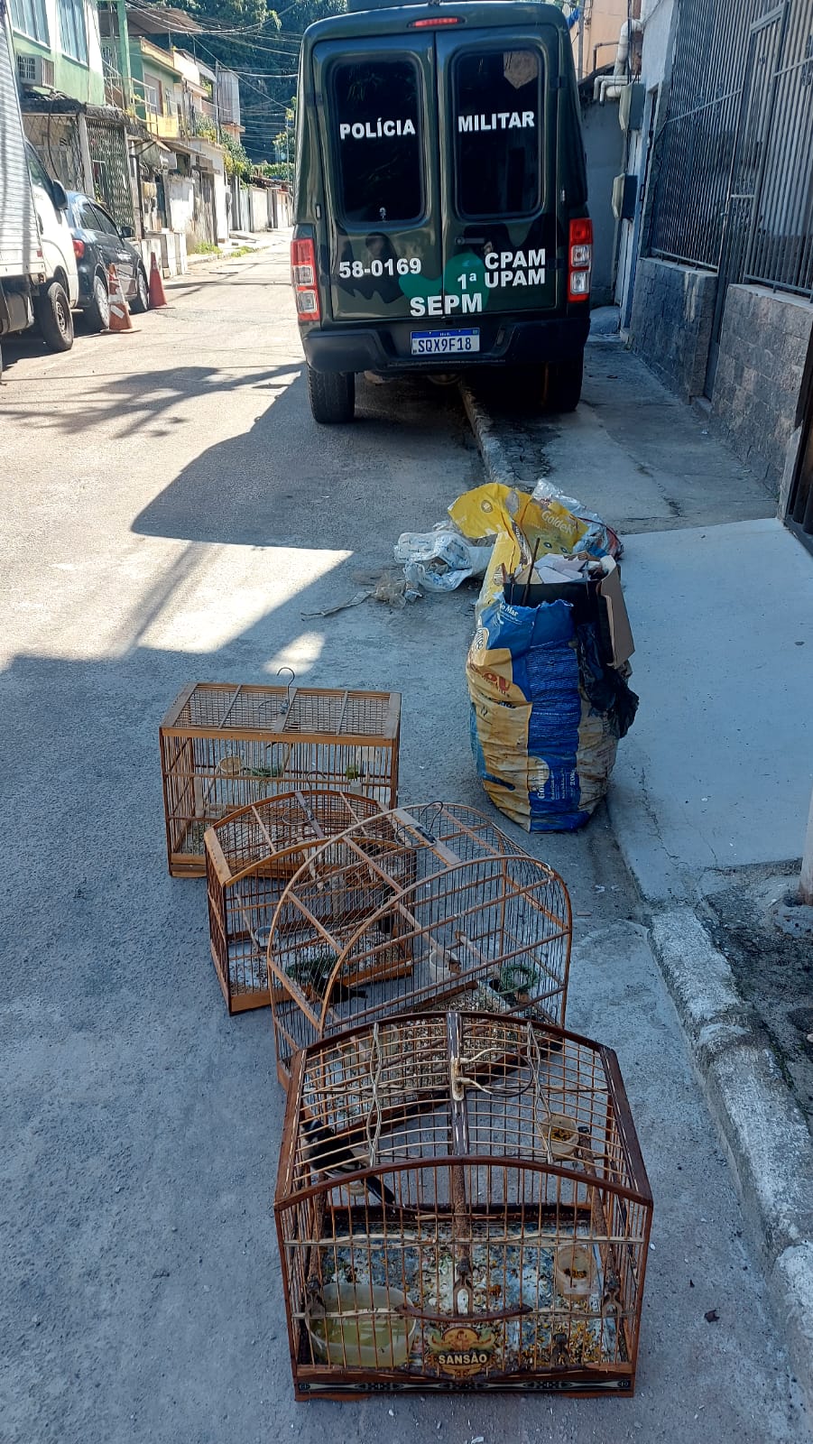 Polícia apreende pássaros em Duque de Caxias 